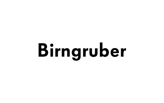 csm_logos7_birngruber_a41b240804